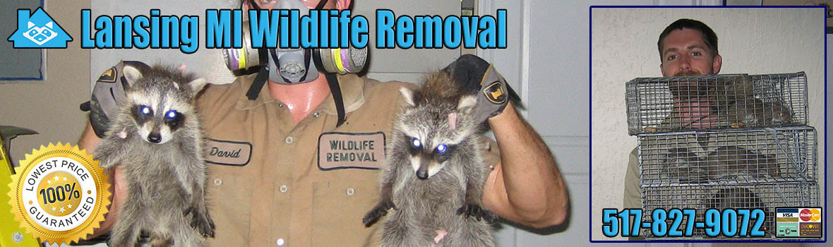 Lansing Wildlife and Animal Removal